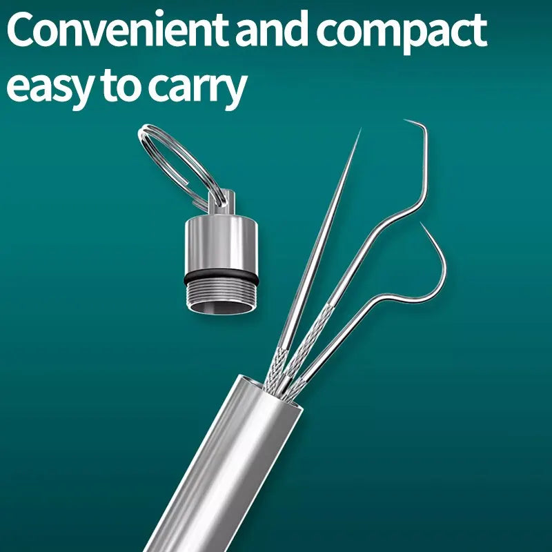 Stainless Steel Metal Toothpick Set