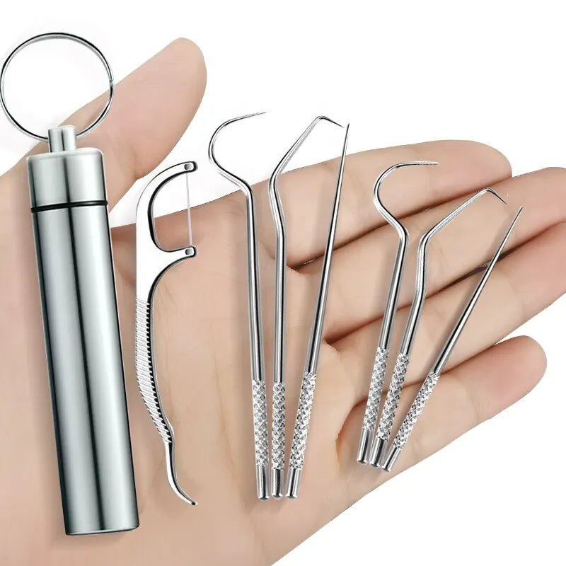 Stainless Steel Metal Toothpick Set