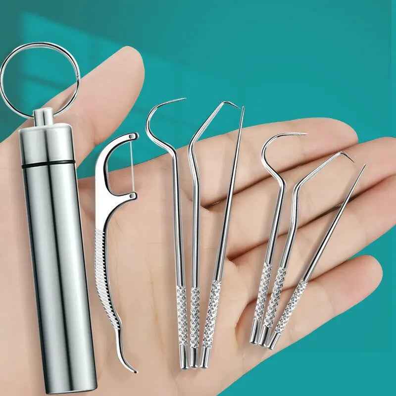Stainless Steel Metal Toothpick Set