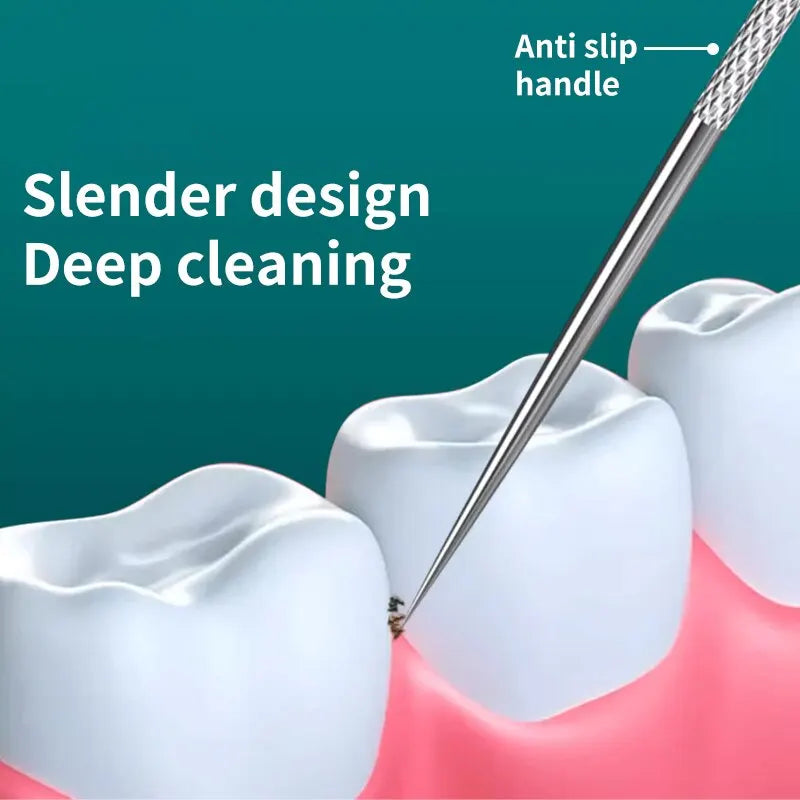 Stainless Steel Metal Toothpick Set
