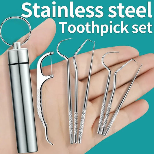 Stainless Steel Metal Toothpick Set